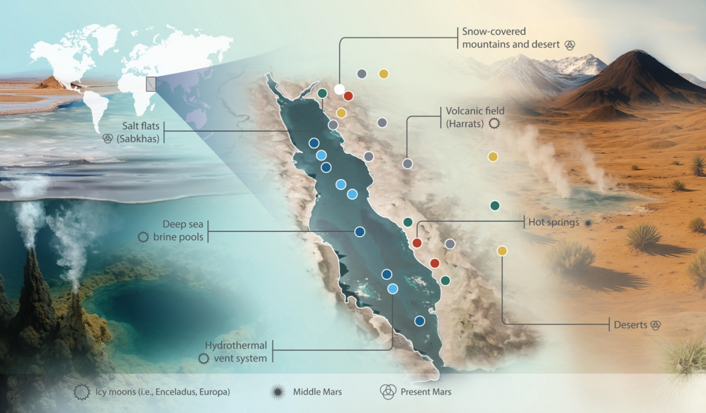 Saline-alkali soil species distribution